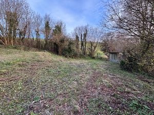 Garden (2)- click for photo gallery